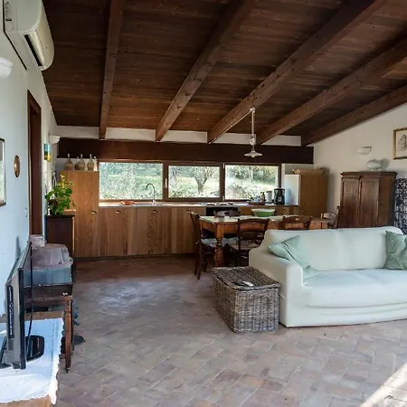 Fonte Del Salcio Cinigiano